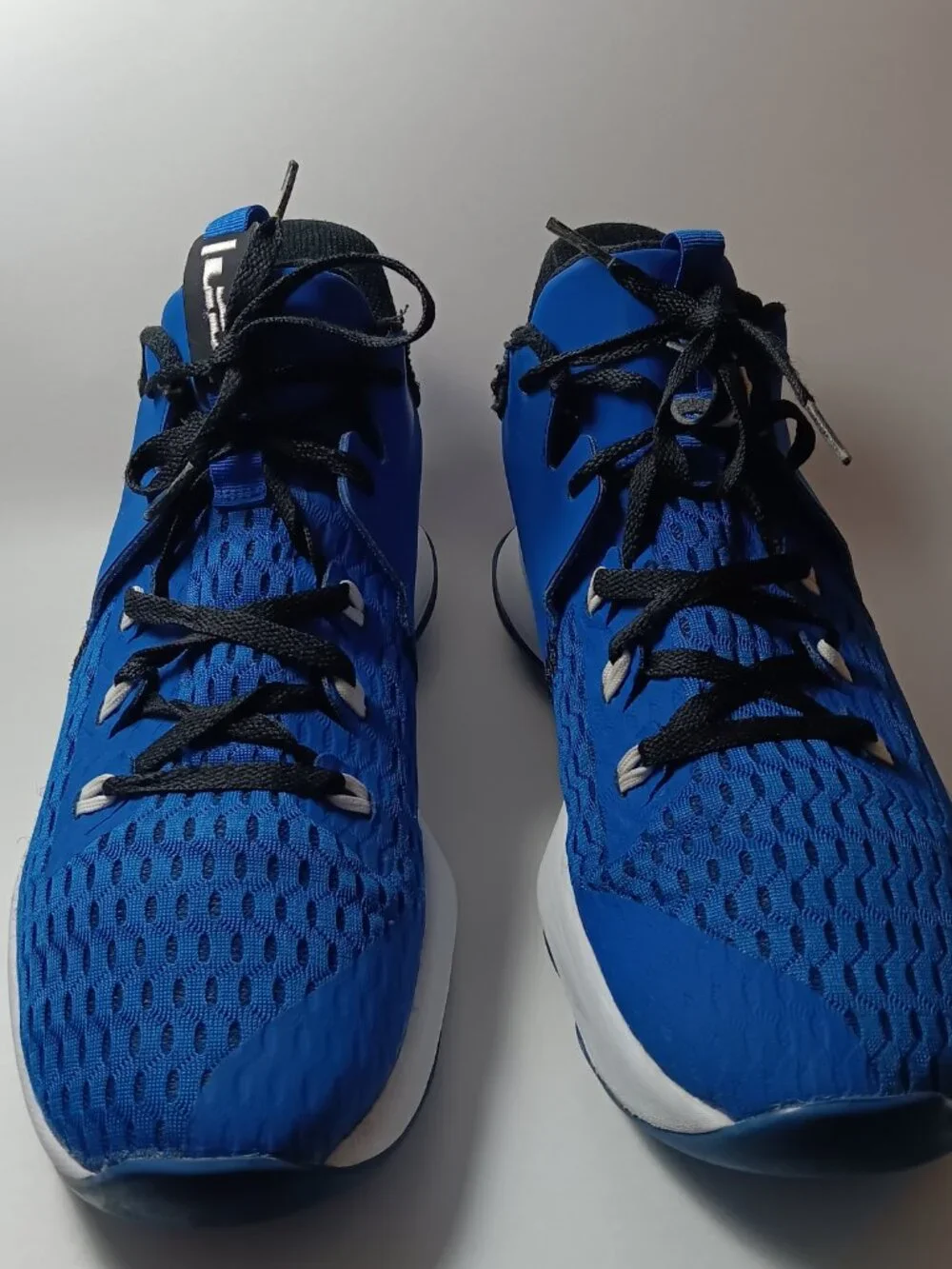 Nike Le Bron  witness 5 game royal blue white basketball shoes CQ9380-400 men